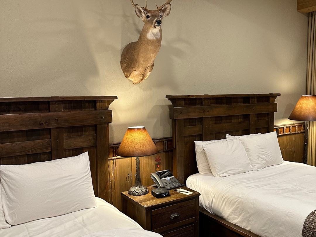 Big Cypress Lodge主图