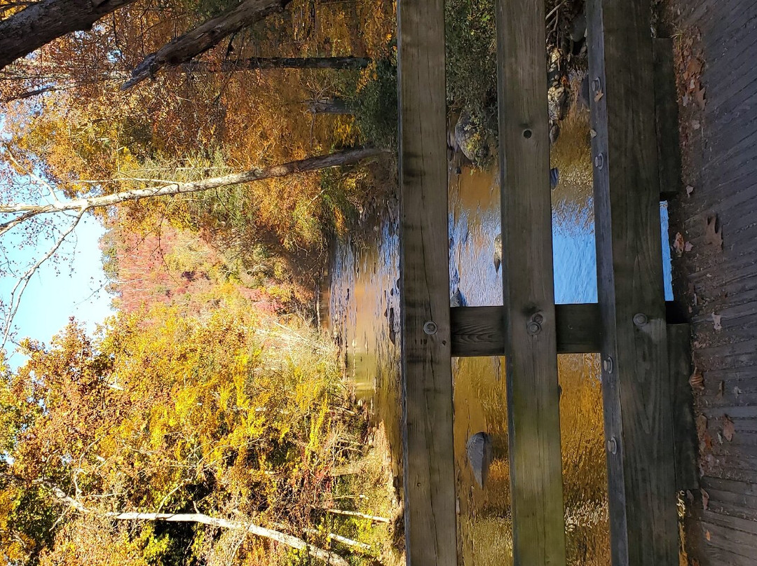 Happy Hippie Lane-盖林柏格必去景点