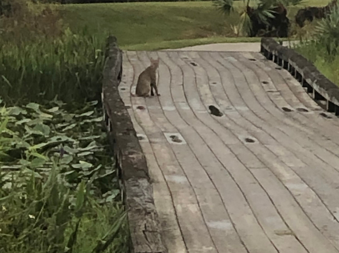 The Champions Club at Summerfield-斯图尔特必去景点