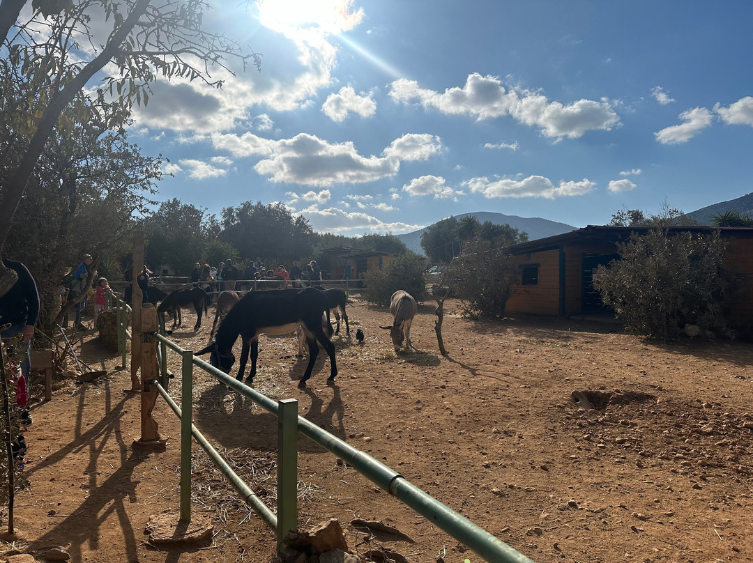 Donkeysland景点图片