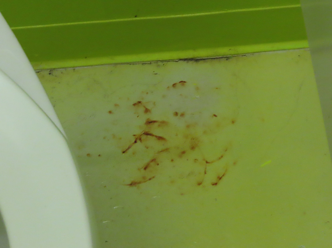 Hilton Garden Inn McAllen Airport主图