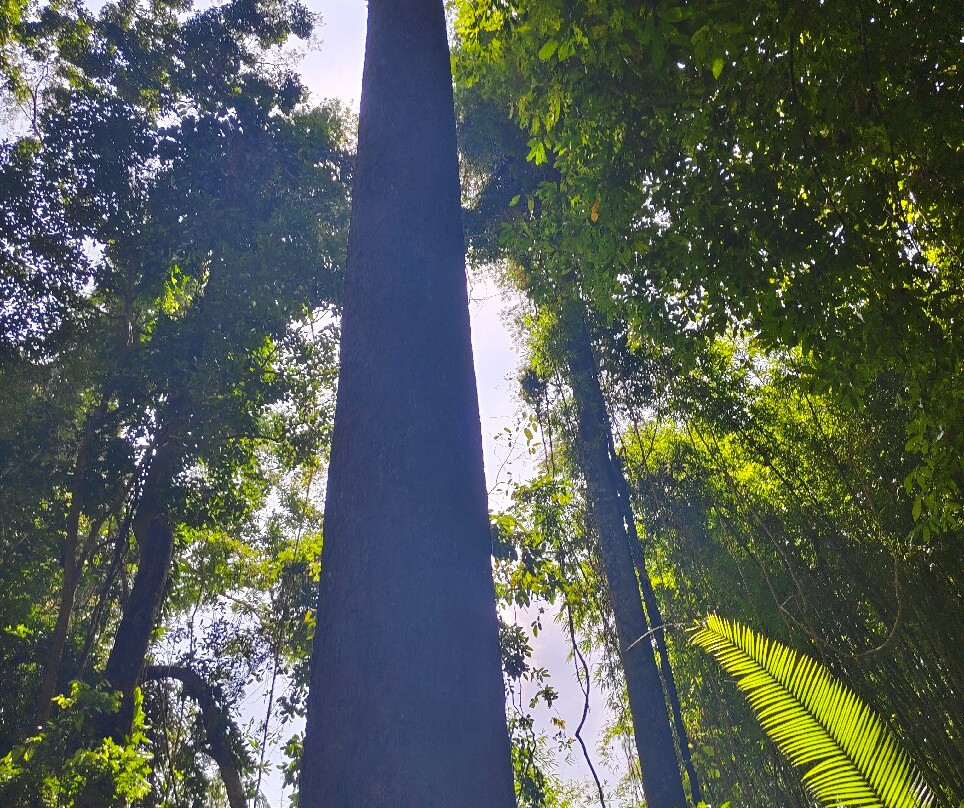 Phuket Local Guide Kong-Koh Kaew必去景点