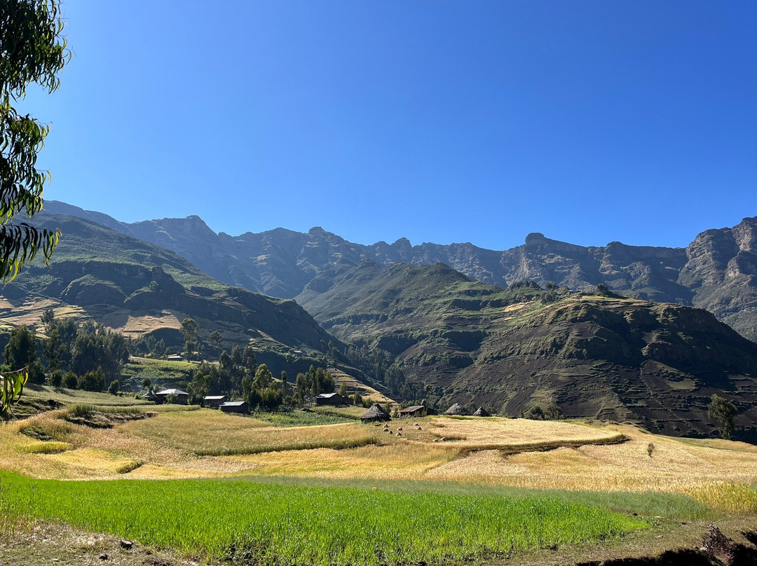 Simien Tops Eco-Trek景点图片