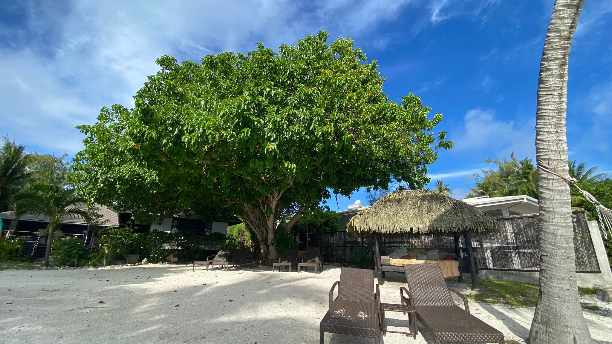 Le Coconut Lodge-官方