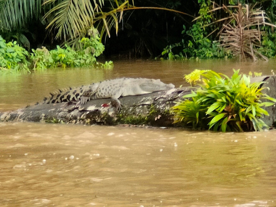 Caribbean Paradise Eco-Lodge主图