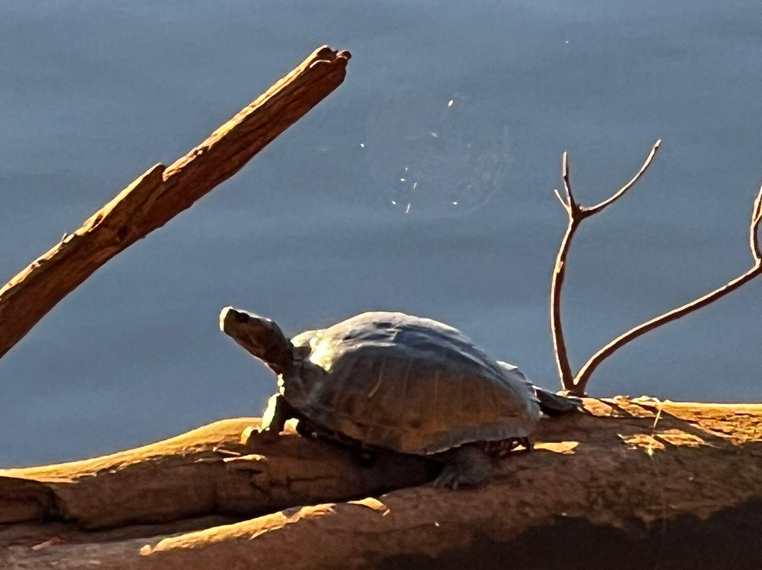 猫溪小径-圣何塞必去景点