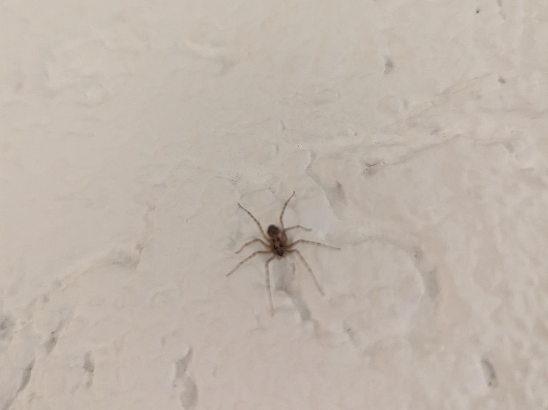 Hotel-Restaurant Schneider主图