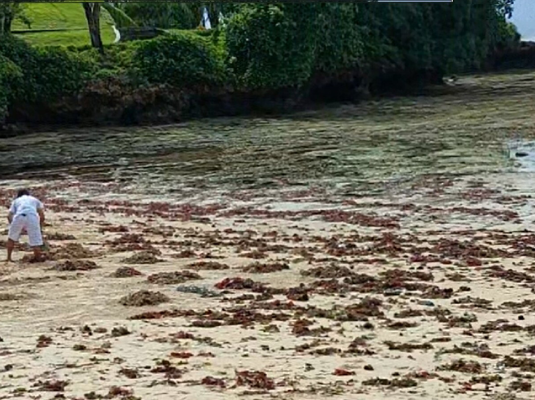 Mengiat Beach景点图片