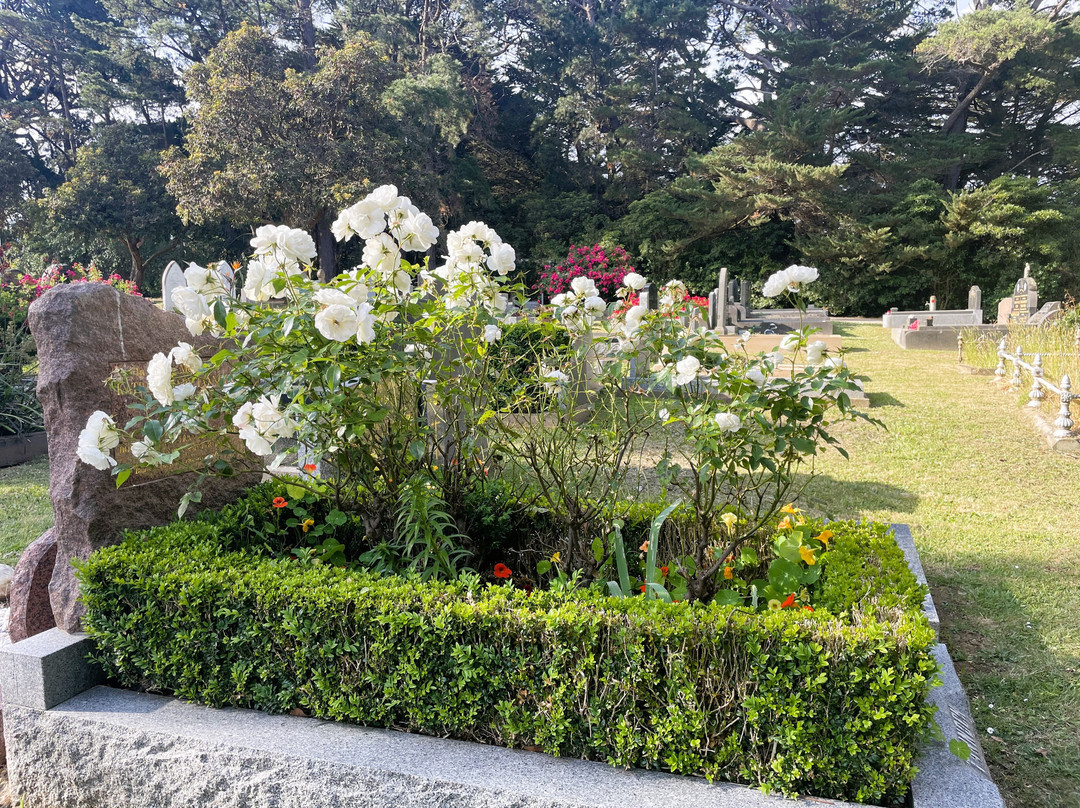 Flinders Cemetery景点图片