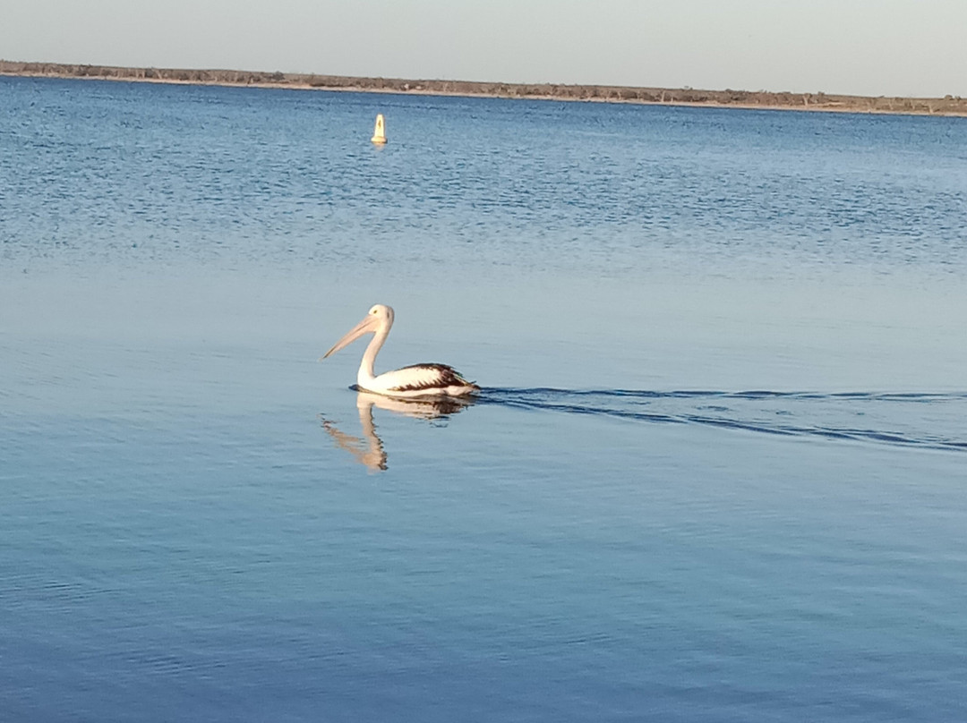 Lake Bonney foreshore景点图片
