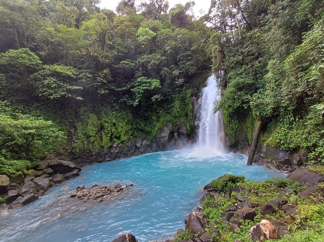 Parque National Volcan Tenorio景点图片