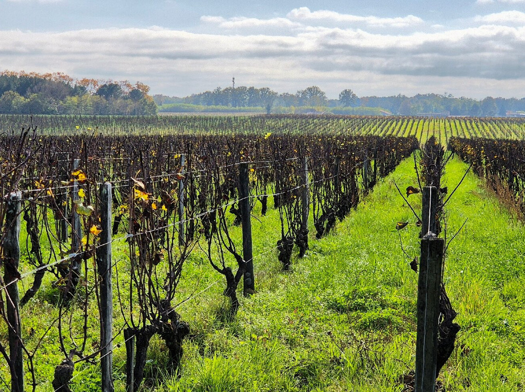 Chateau Guiraud-Sauternes必去景点