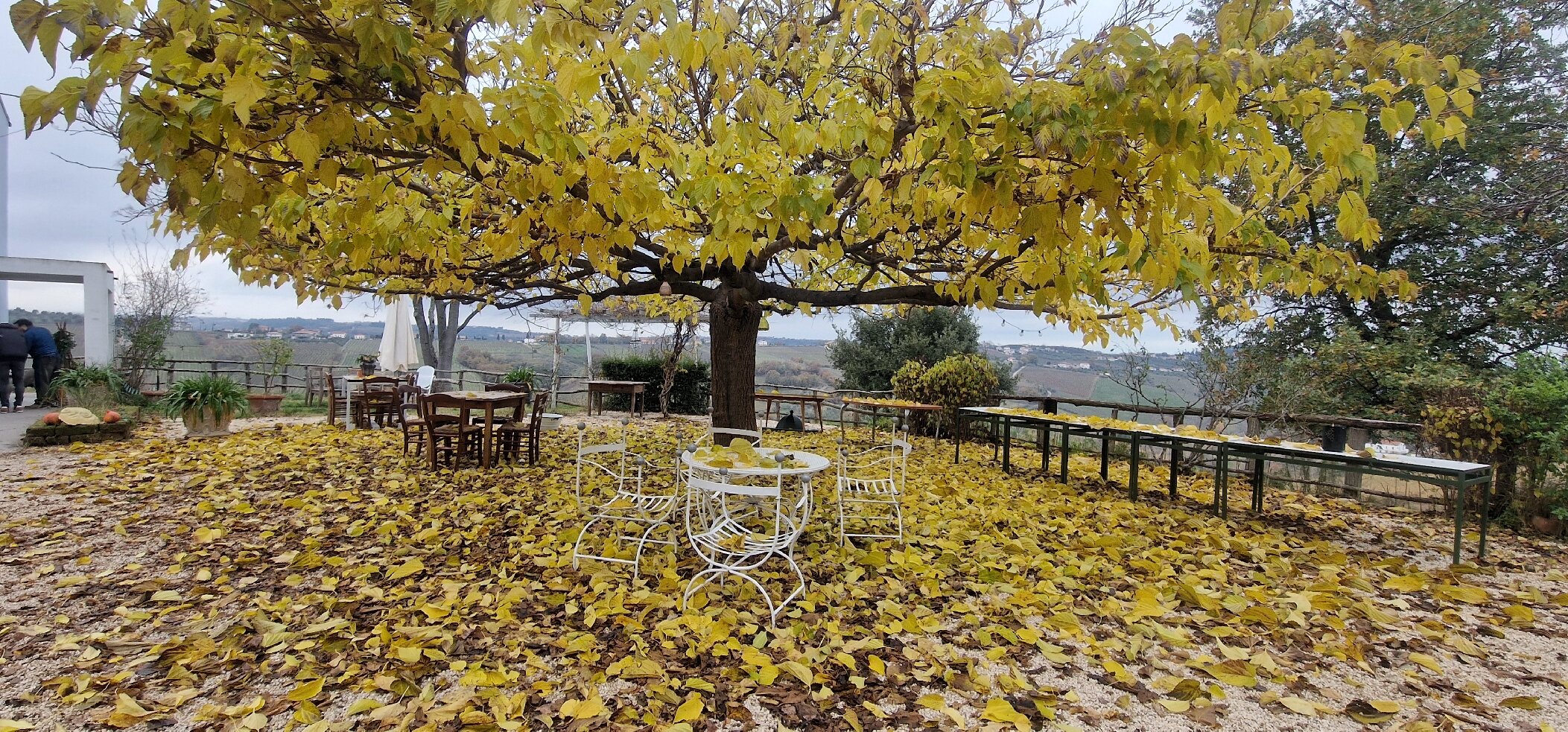 Campoletizia Azienda Agrituristica-官方