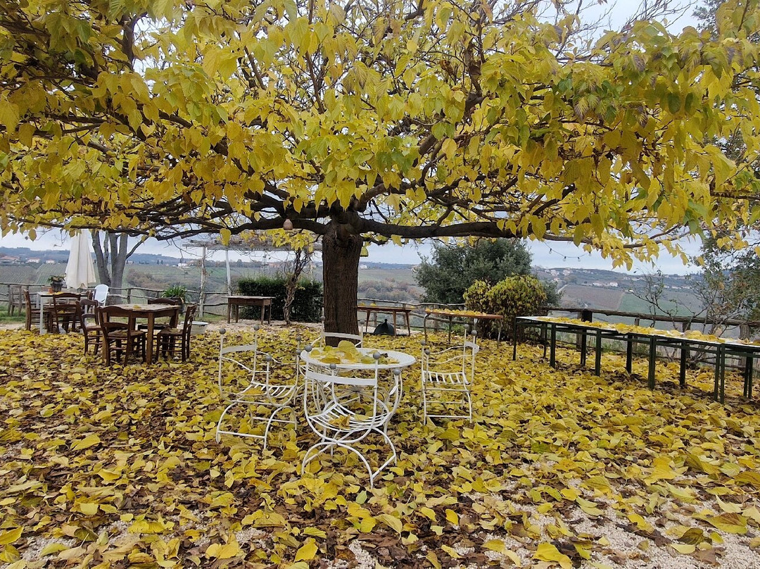 Campoletizia Azienda Agrituristica主图