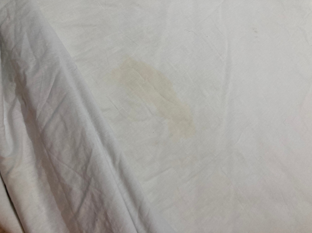 Woodridge Inn and Suites主图