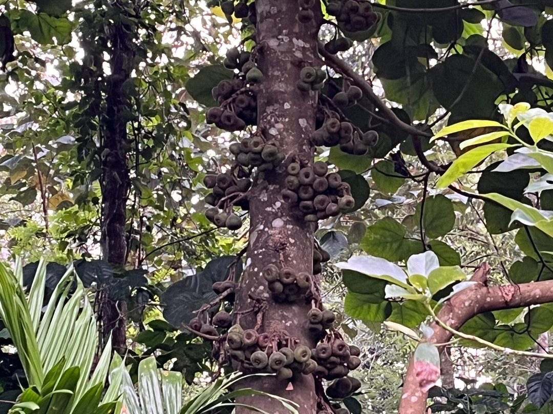 Chilipili Estate Stay主图