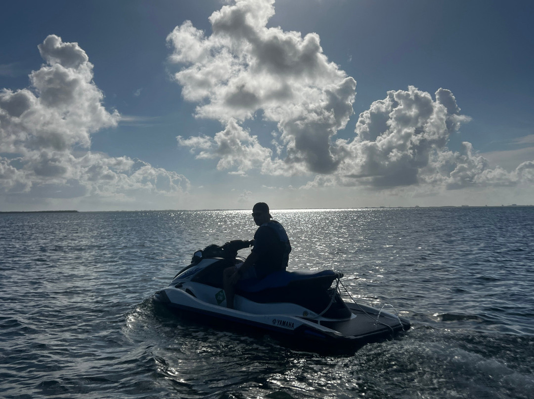 Fat Fish Adventures-大开曼岛必去景点