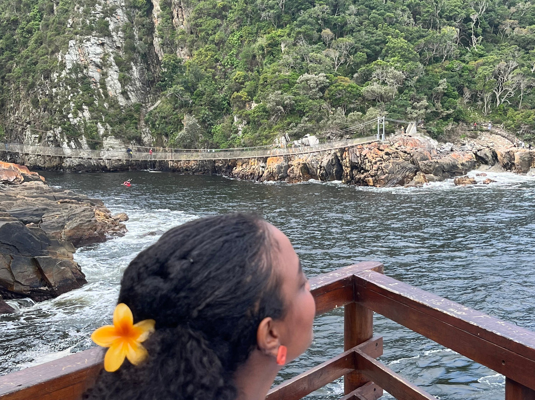 Wilderness Express Tours & Transfers-荒野必去景点