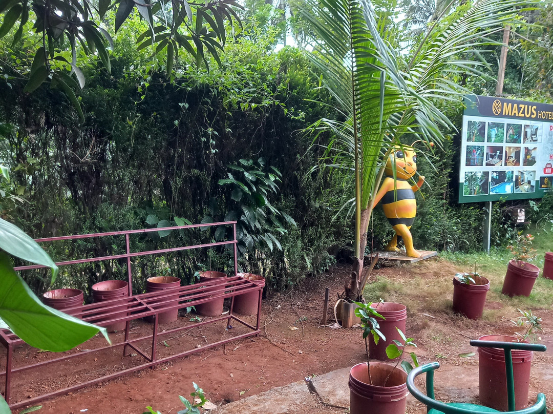 Beecraft Honey Museum-Kunnathidavaka必去景点