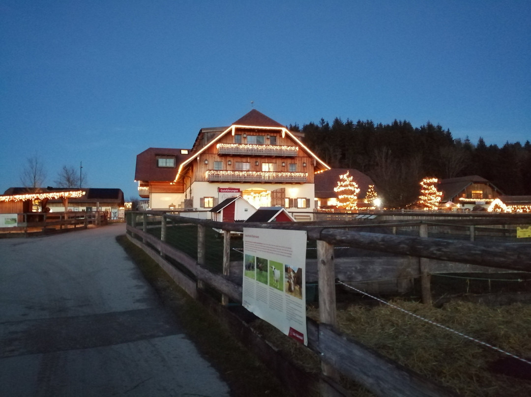 Gut Aiderbichl Henndorf-Henndorf am Wallersee必去景点