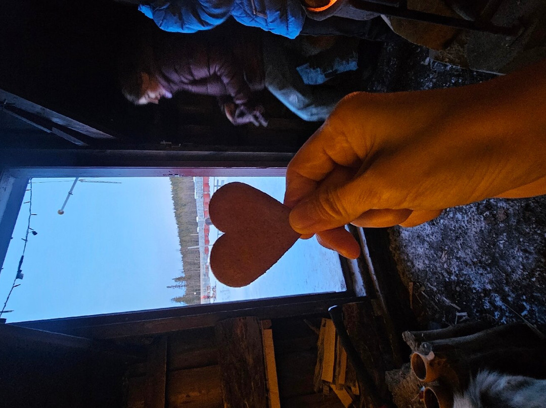 Snowdog The Arctic Adventure Co.-基律纳必去景点