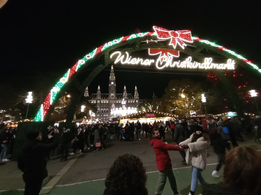 Wiener Christkindlmarkt-维也纳必去景点