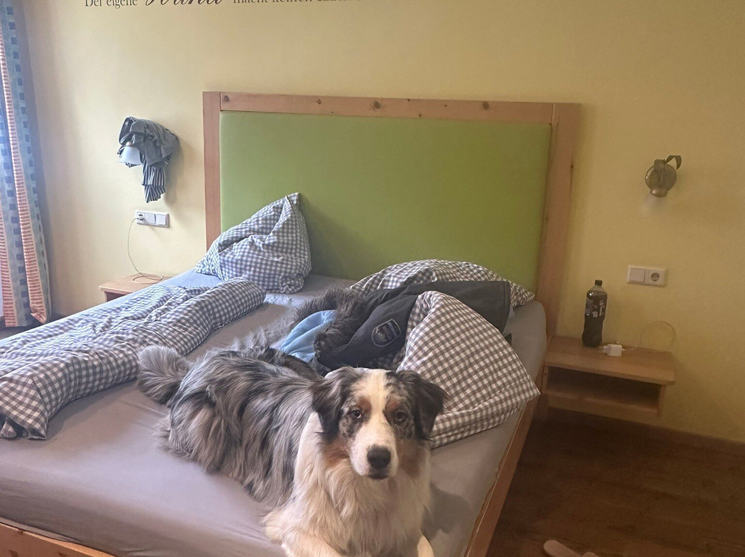 Hotel Grimming dogs&friends主图