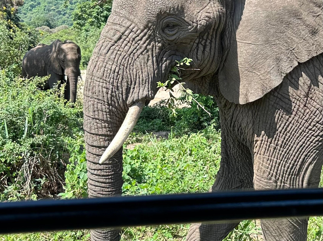 Evarest Adventures-阿鲁沙必去景点