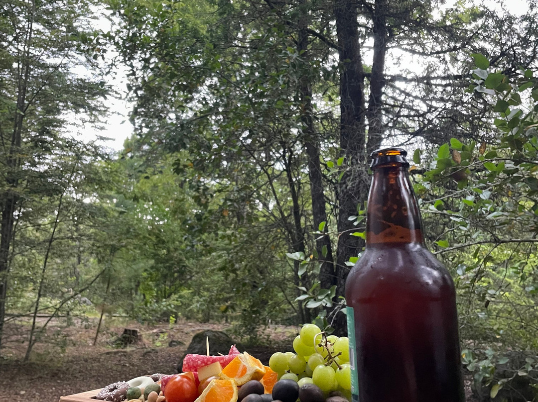 Llaimadomo lodge主图