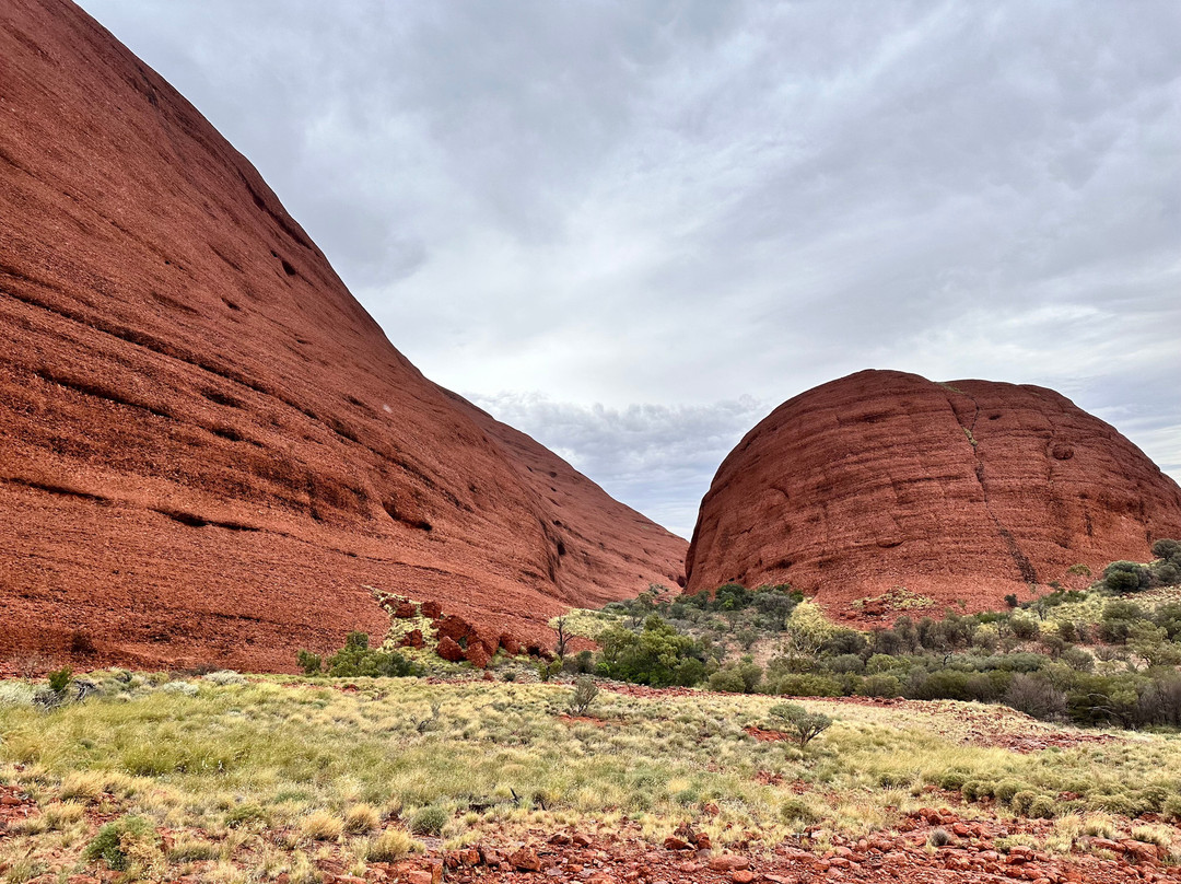 Yulara Visitor Information Centre-尤拉拉必去景点