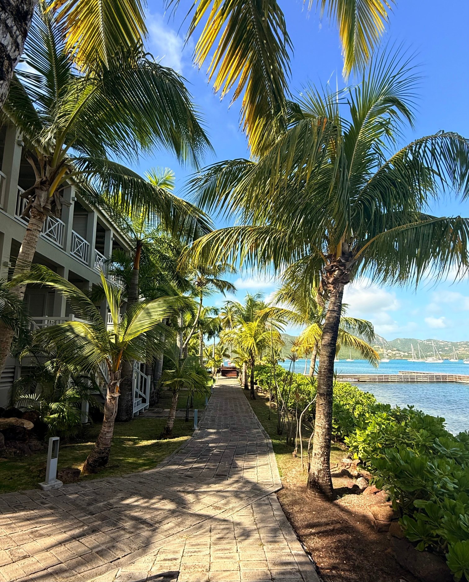 South Point Antigua-浴室