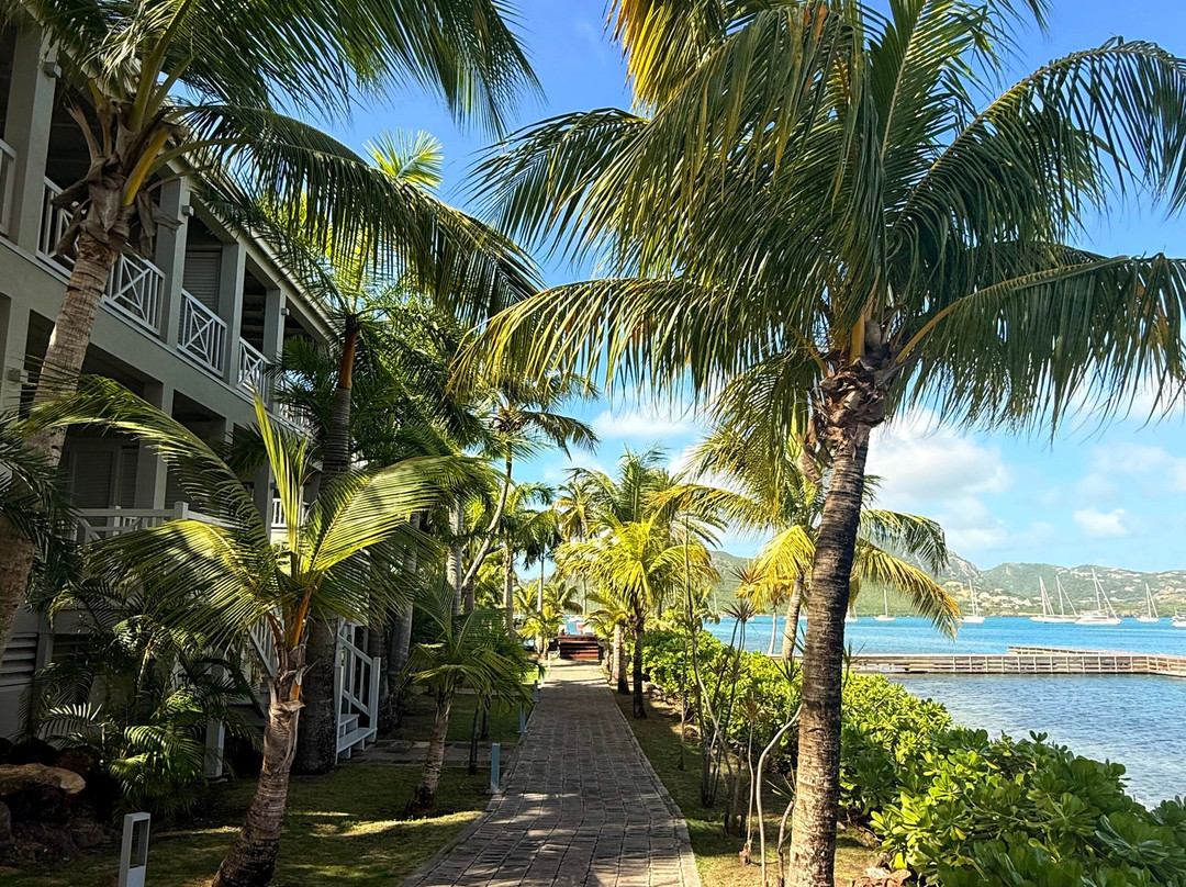 South Point Antigua主图