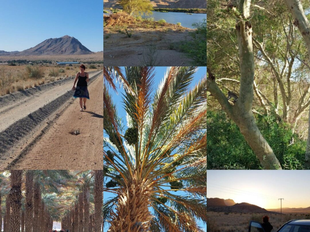 Klein Pella Guest House主图