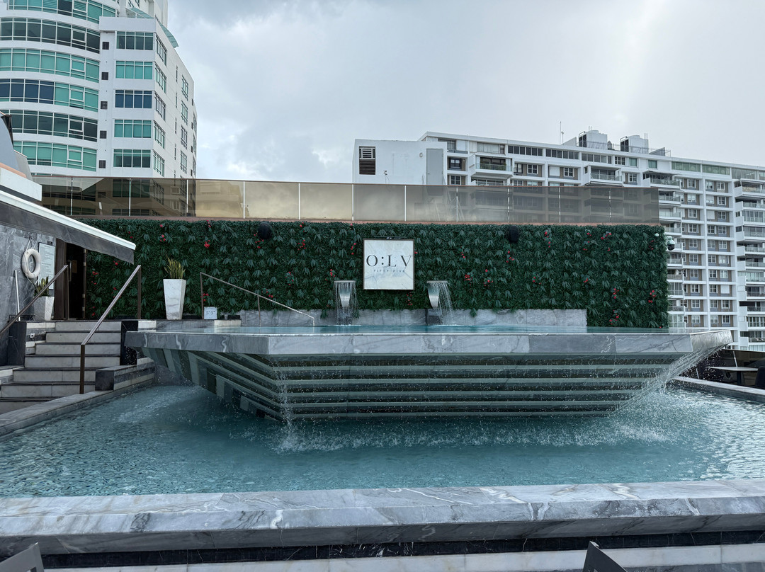 O:LV Fifty Five主图