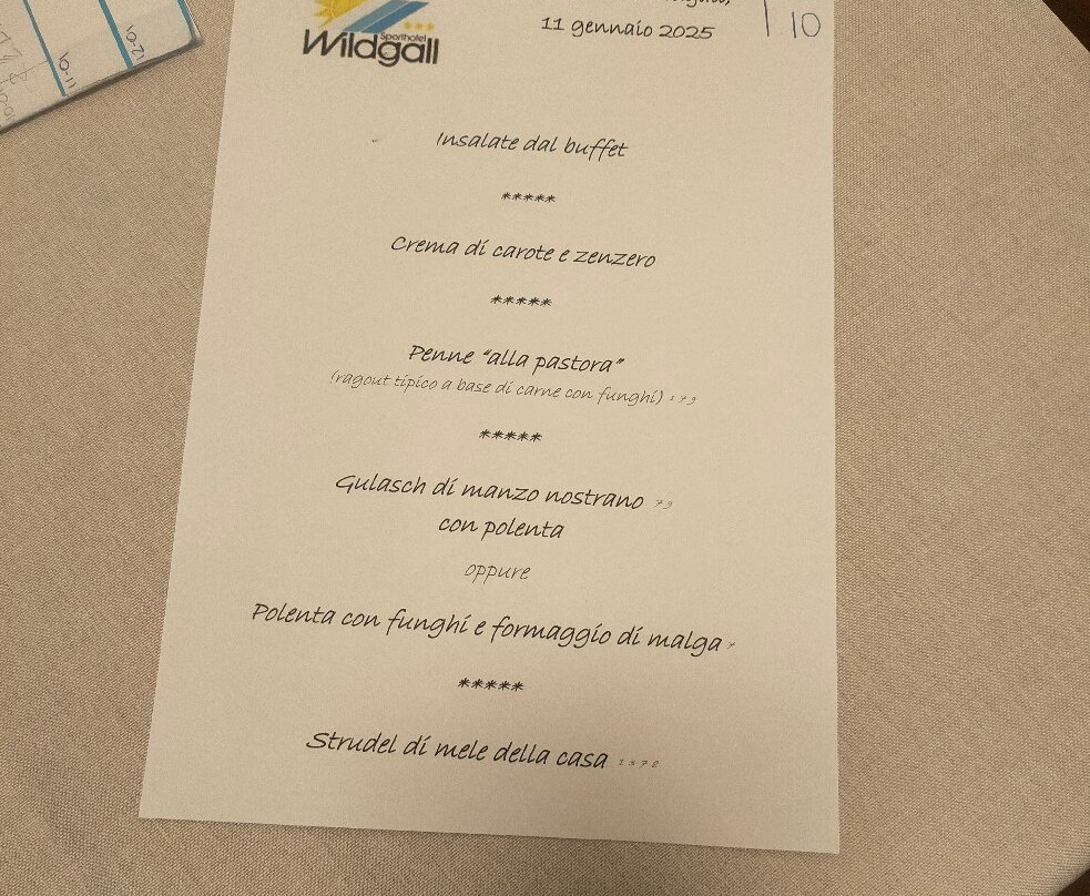 Sport Hotel Wildgall主图