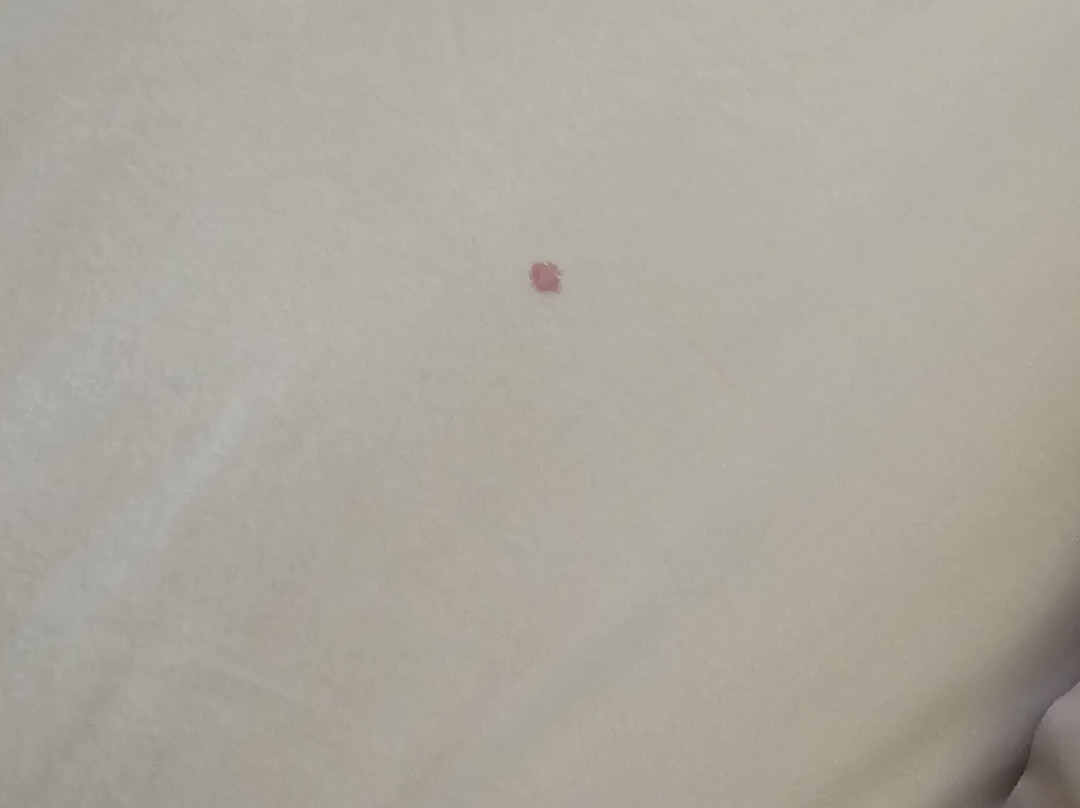 Super 8 by Wyndham Chipley主图