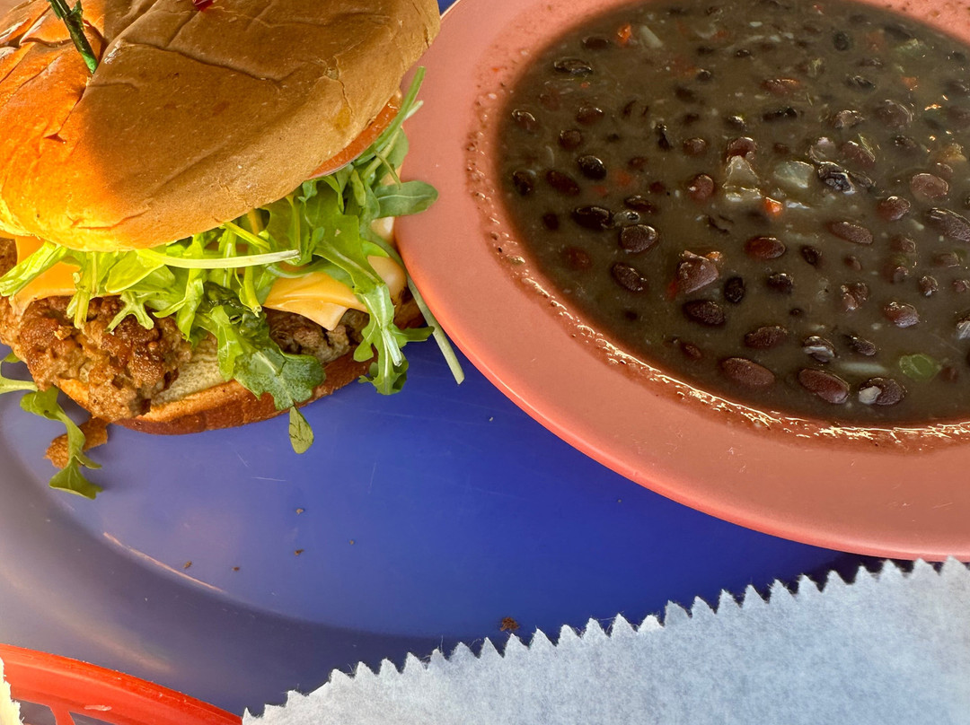 Lazy Dog Adventures-基韦斯特必去景点