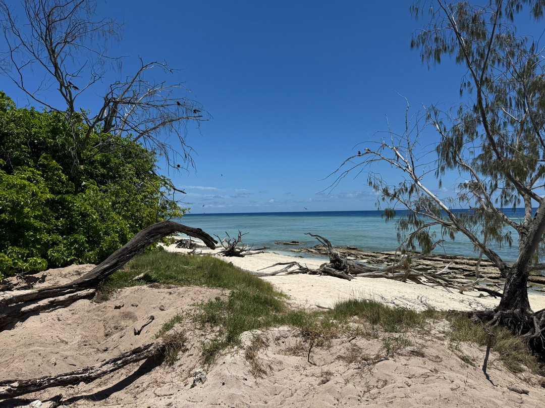 Lady Musgrave Cruises-1770镇必去景点