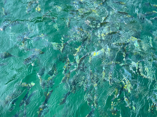 Scuba Club-卡拉奇必去景点