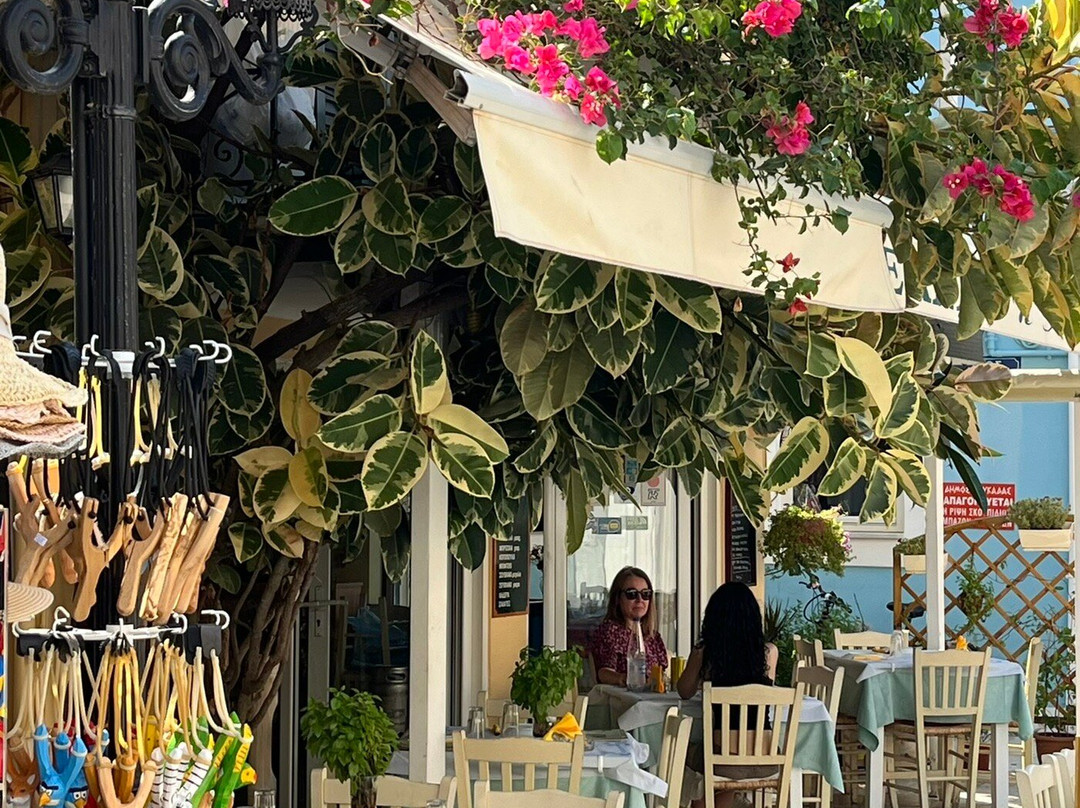 Dolphin Village主图