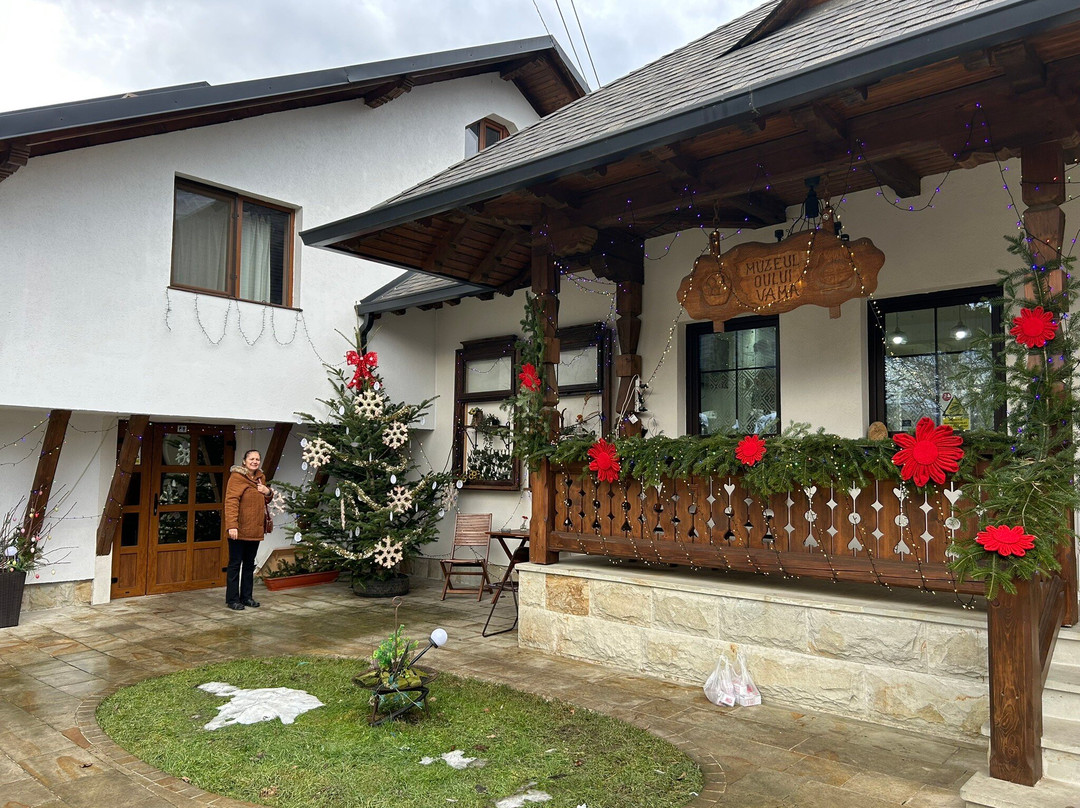 Muzeul Oului景点图片