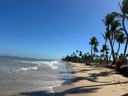 Tropical Treasure-Uvero Alto必去景点