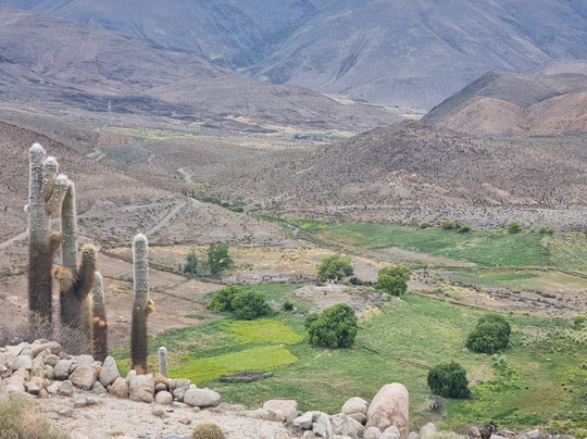 Ruins of Tastil-Province of Salta必去景点