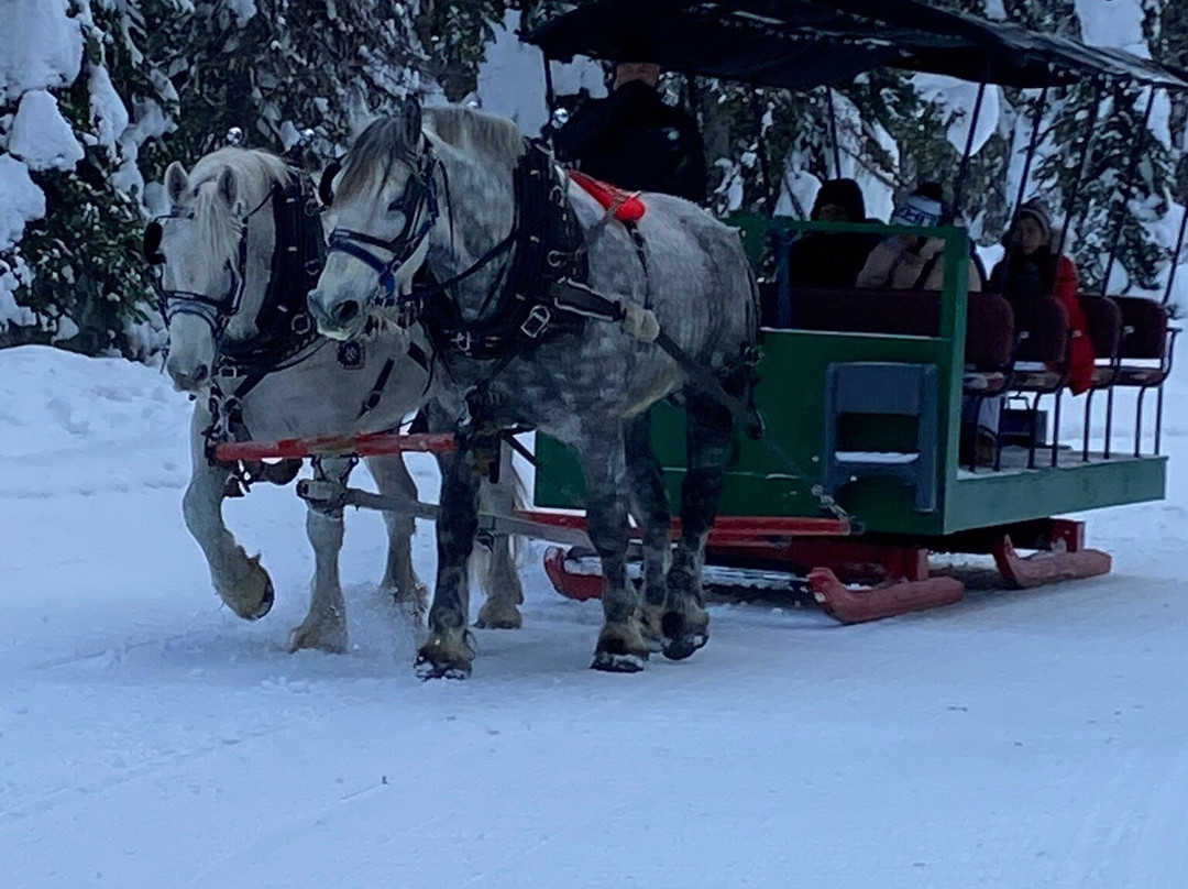Big White Sleigh Ride景点图片