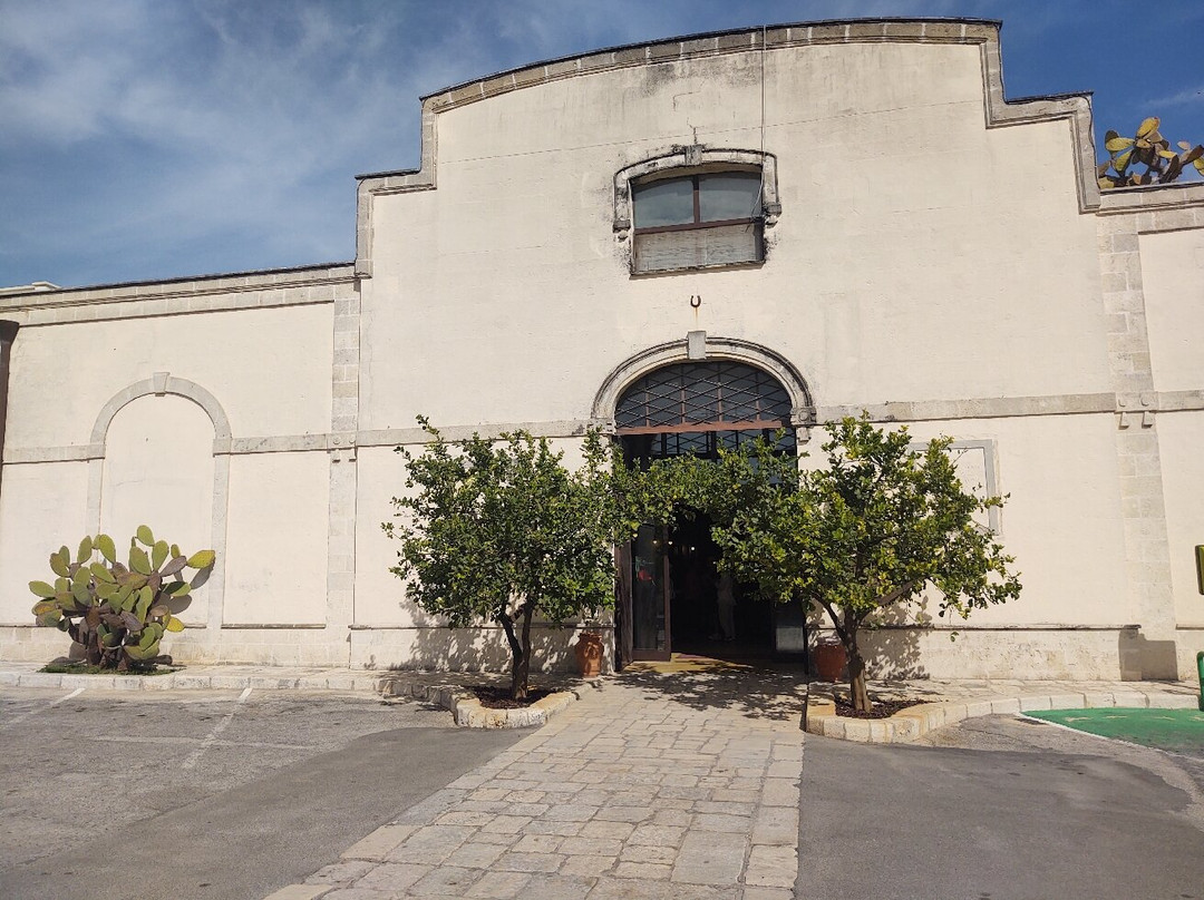 Societa' Coop. Cantina Sociale Di Manduria-Manduria必去景点