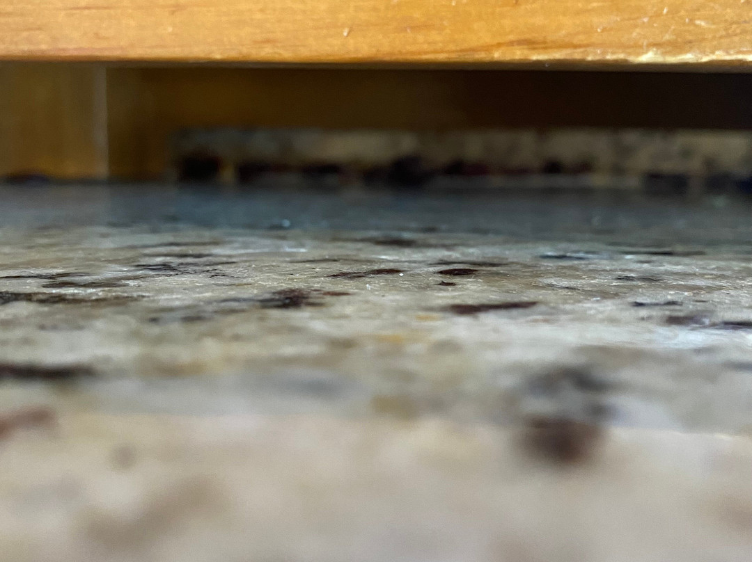 Hampton Inn Abilene主图