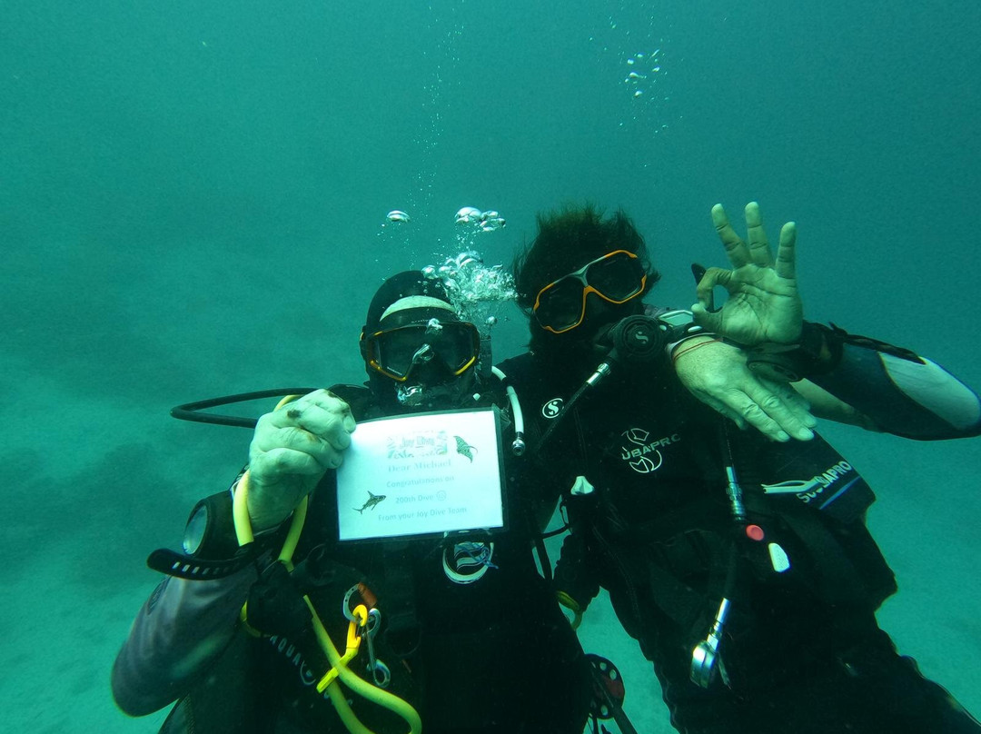 Joy Dive Maldives-萨芙莉岛必去景点