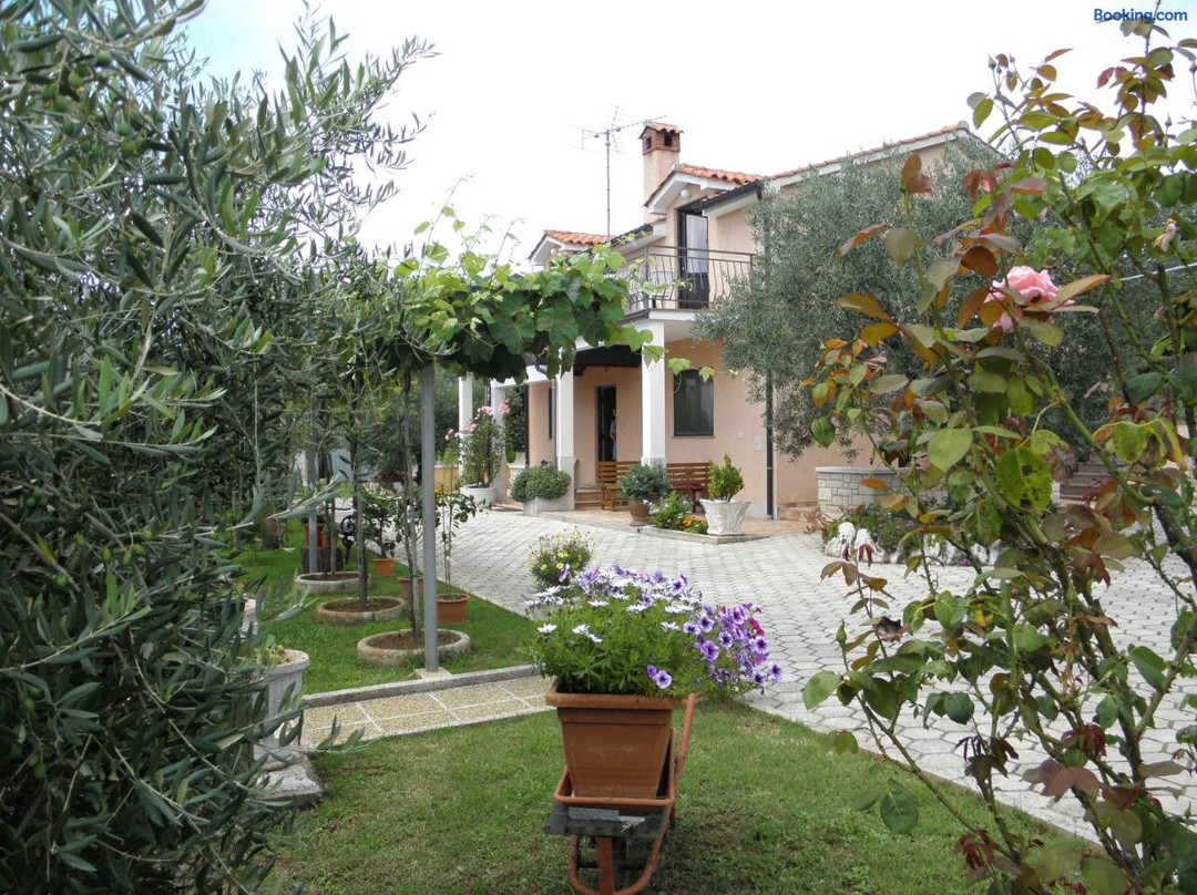 Apartments Mirjana