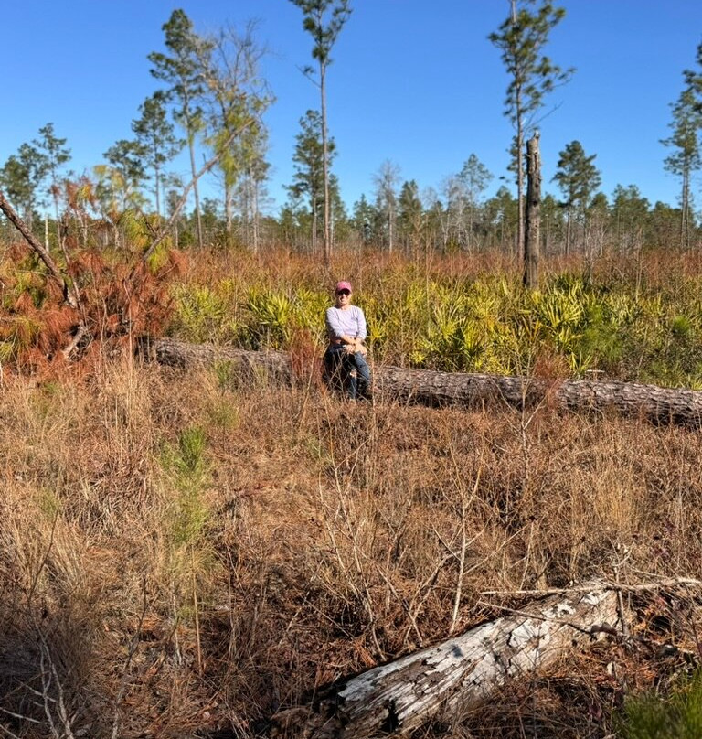 Stephen Foster Folk Culture Center State Park-White Springs必去景点