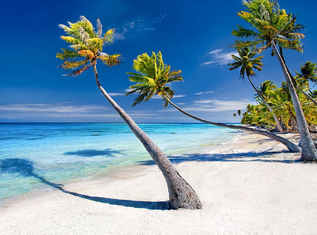 Fakarava beaches-Fakarava必去景点